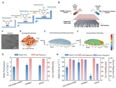 南京理工大学，重磅Science：聚酯膜 挑战聚酰胺膜，用于高性能反渗透海水淡化